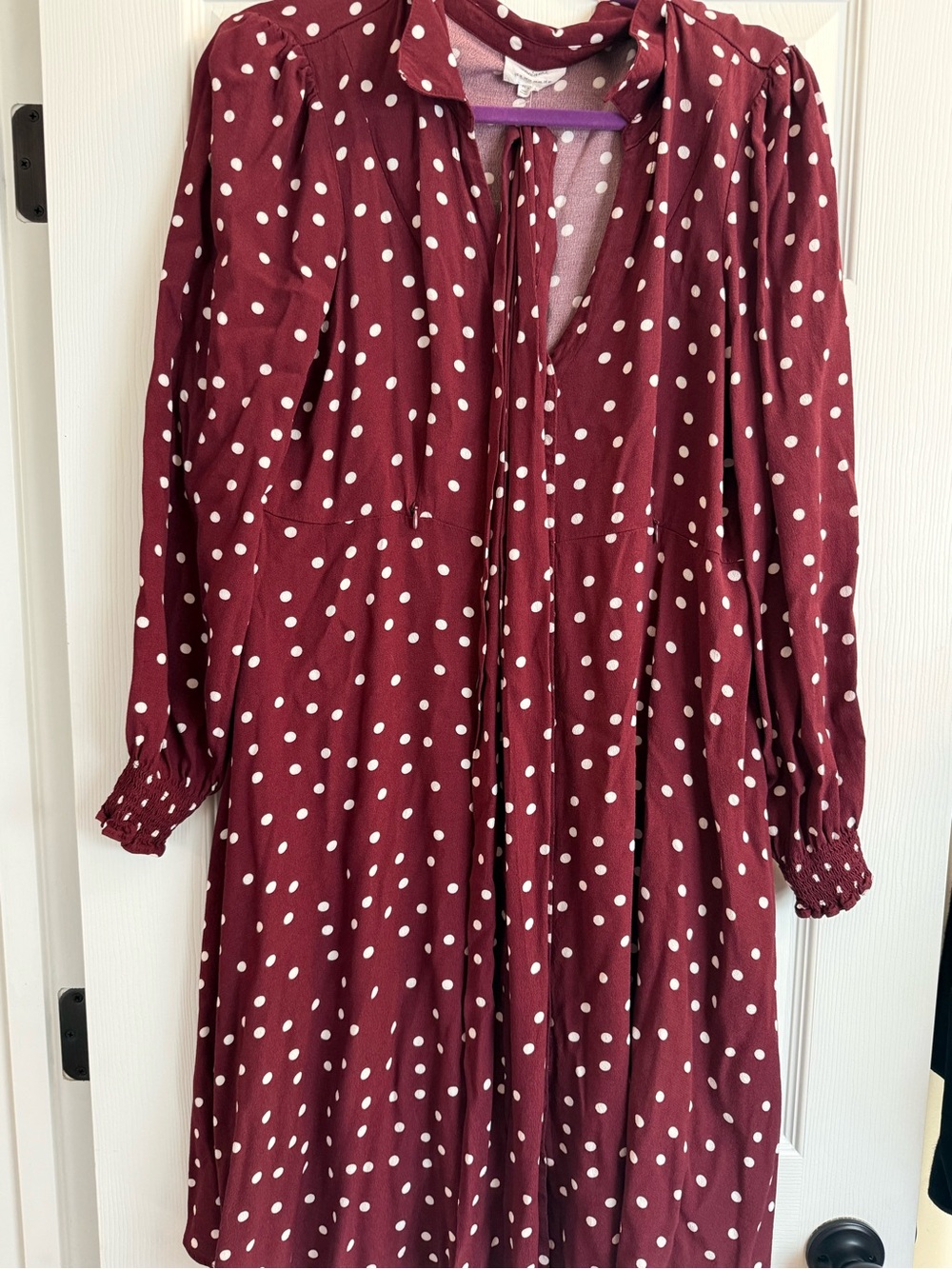 Seraphine Burgundy and White Polka Dot Long-Sleeve Maternity/Nursing Dress